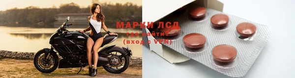 твердый Абаза