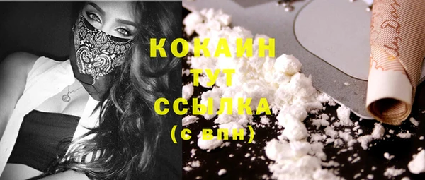 дмт Осинники