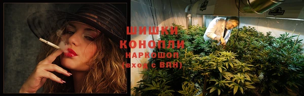 дмт Осинники